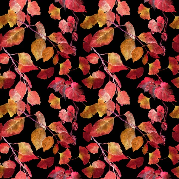 Hojas rojas de otoño, fondo negro. Patrón de otoño de contraste sin costuras. Acuarela —  Fotos de Stock