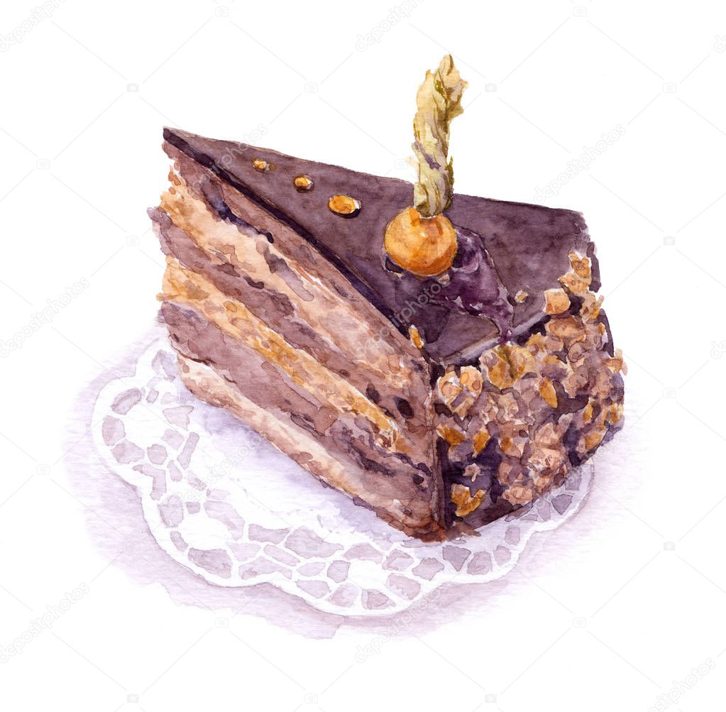 Chocolate-praline cake with ground-cherry berry, Watercolor