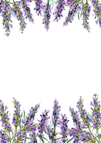 ラベンダー色の花。水彩境界 — ストック写真