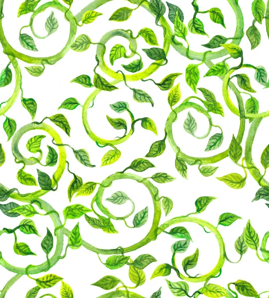 Винтажный бесшовный рисунок с зелеными листьями и свитками. Акварель — стоковое фото