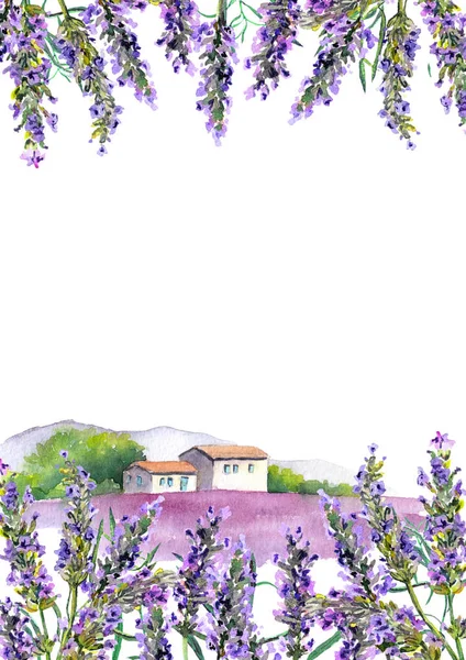 Lavanta çiçekleri ve kırsal çiftlik evi. Suluboya kartı — Stok fotoğraf