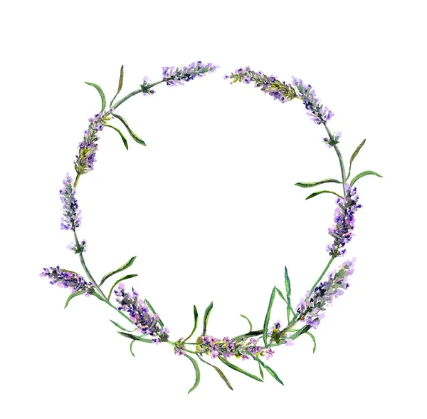 Lavendel bloemen krans. Aquarel — Stockfoto