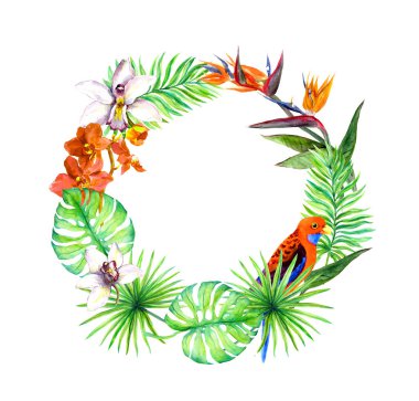 Tropikal, egzotik kuşlar, orkide çiçek bırakır. Çiçek çelenk. Suluboya