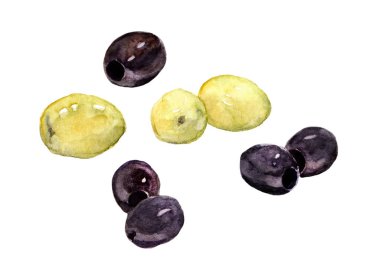 Yeşil ve Siyah Zeytin sebze. Suluboya