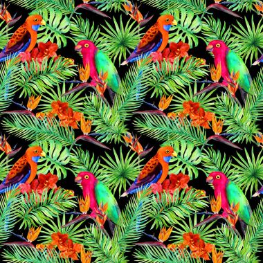 Tropikal, papağan kuşlar, egzotik çiçek bırakır. Siyah arka planda kesintisiz orman desen. Suluboya