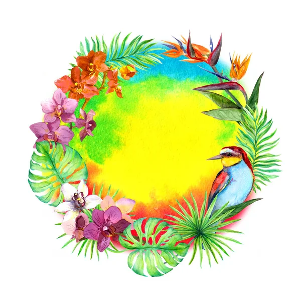 Hojas tropicales, aves exóticas, flores de orquídeas. Corona frontera tarjeta de verano. Acuarela — Foto de Stock