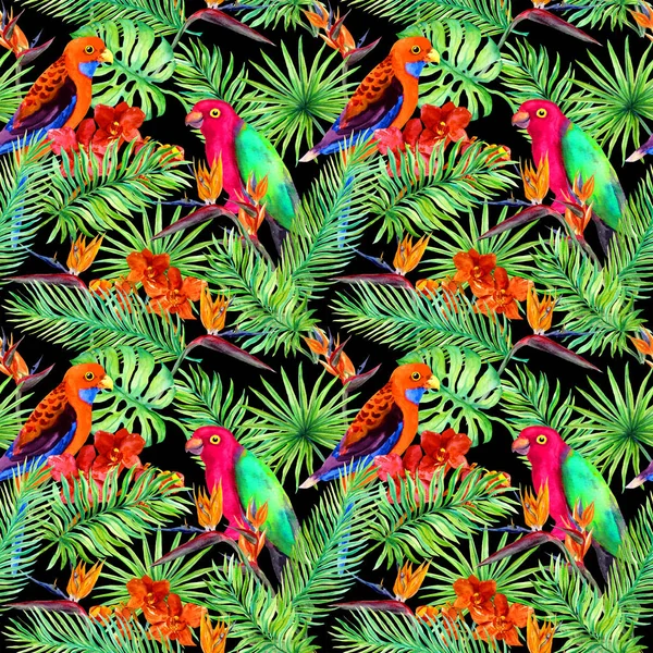 Tropikalne liście, ptaki papuga, egzotyczne kwiaty. Bezszwowe dżungli wzór na czarnym tle. Akwarela — Zdjęcie stockowe