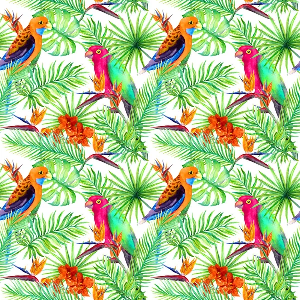 Jungle papegojor, exotiska växter - palm, monstera, blommor. Upprepande mönster. Aquarelle — Stockfoto