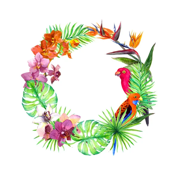 Tropikal, egzotik kuşlar, orkide çiçek bırakır. Çelenk sınır. Suluboya