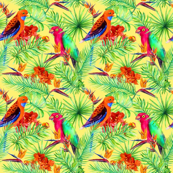 Parlak papağan kuşlar, tropikal ağaç, orman egzotik çiçekler - cennet kuşu çiçeği, orkide. Seamless modeli. Suluboya — Stok fotoğraf