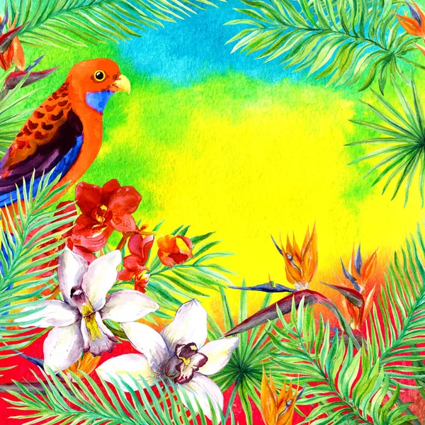 Tropikal, egzotik kuşlar, orkide çiçek bırakır. Yaz Partisi için suluboya kartı. — Stok fotoğraf