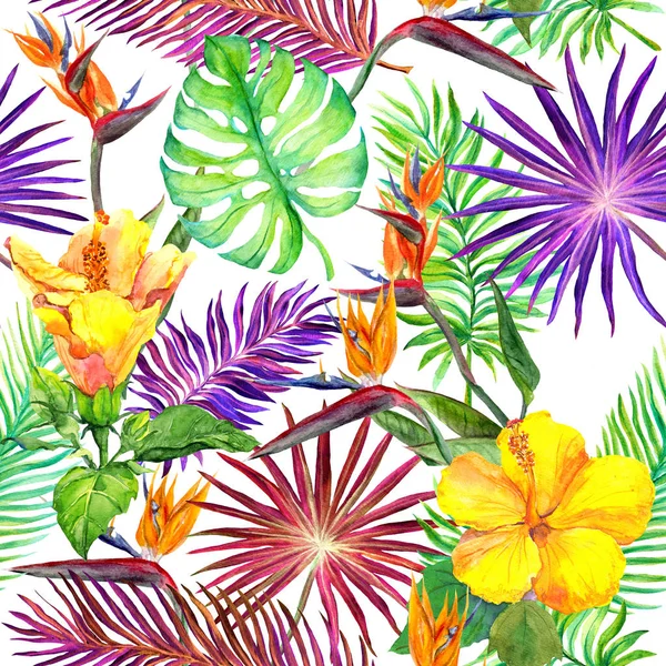 Tropikalne liście, egzotyczne kwiaty. Bezszwowe dżungli wzór. Akwarela — Zdjęcie stockowe