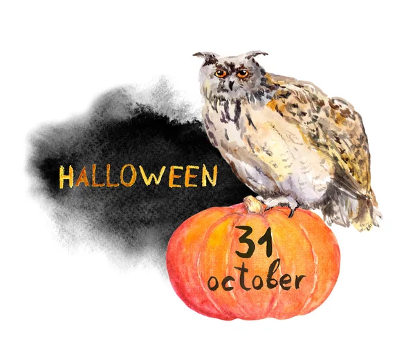 Owl on pumpkin. Halloween watercolor — Stock Photo, Image