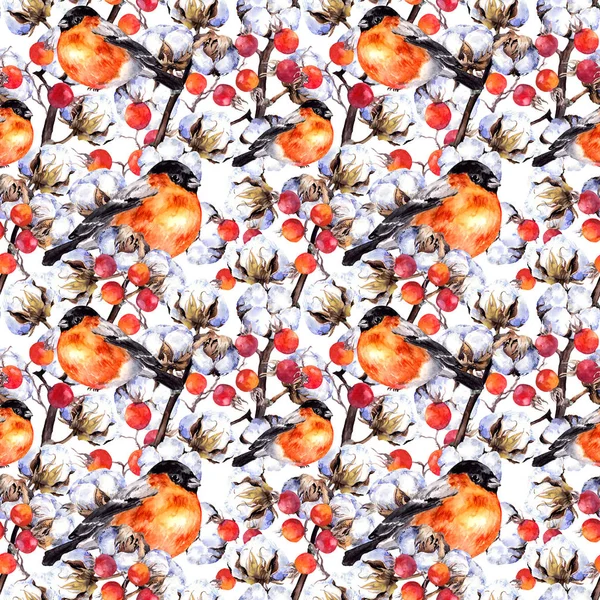 Pamut növény ágai, piros bogyós gyümölcsök, téli pinty madarak. Ismétlődő minta. Akvarell — Stock Fotó
