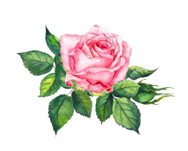 Pembe gül yaprakları ile. Evlilik tarihi bildirimi kartı kaydetmek için suluboya