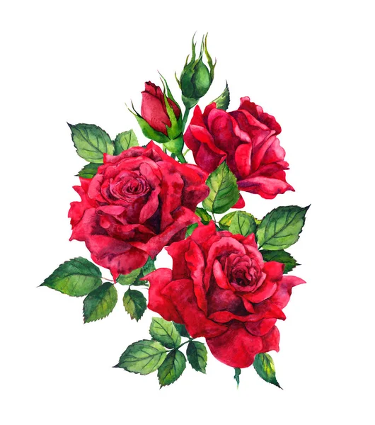 Rote Rosen. Aquarellskizze — Stockfoto