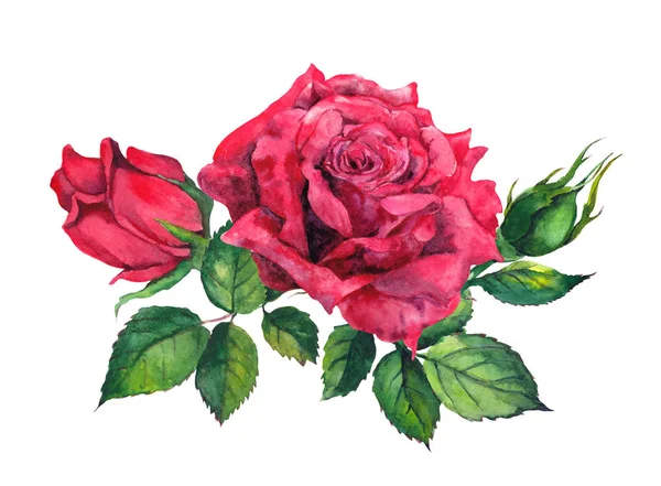 Rote Rosen Strauß. isolierte Aquarell-Illustration — Stockfoto