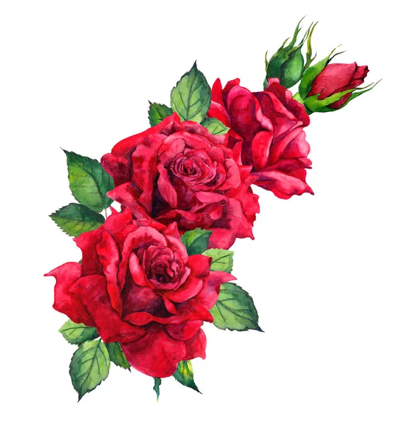 Rode rozen - bloemen samenstelling geïsoleerd op wit. Aquarel — Stockfoto