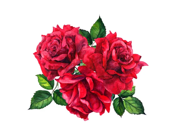 Bouquet de roses rouges. Illustration aquarelle isolée — Photo