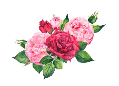 Şakayık çiçekleri ve kırmızı güller pembe. Suluboya