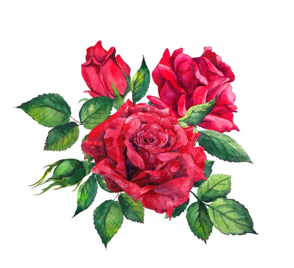 Bouquet de roses rouges. Illustration aquarelle isolée — Photo