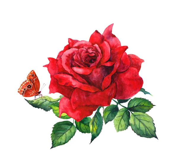Rosa vermelha flor e borboleta. ilustração aquarela botânica — Fotografia de Stock