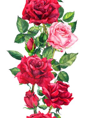 Kırmızı gül çiçekler - çiçek sorunsuz sınır. Suluboya çerçeve