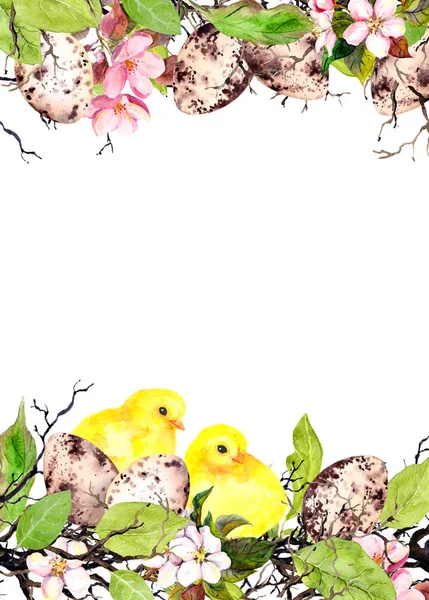 Huevos de Pascua, polluelos, hierba y flores rosadas. Tarjeta de Pascua acuarela —  Fotos de Stock
