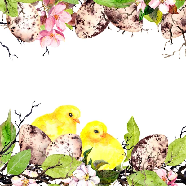 复活节彩蛋, 小鸡, 草和粉红色的花朵。水彩复活节贺卡 — 图库照片