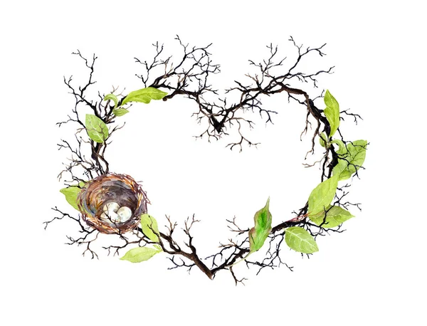 En forme de coeur. Nid d'oiseaux, branches, feuilles printanières. Couronne florale aquarelle pour mariage, carte de printemps — Photo