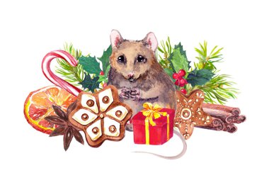 Fare ve Noel tatlıları suluboya resimleme. Zencefilli kurabiye ve kırmızı hediye kutusunun yanında şirin bir fare. Aquarelle portakal dilimi, anason yıldızı ve şeker kamışı gerçekçi resim.