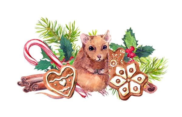 Egér karácsonyi szimbólumokkal akvarell illusztráció. Aranyos barna patkány a gyömbérsüti, fenyőágak és fagyöngy gallyak közelében. Aquarelle fahéjpálcika, cukornád újévi kabalával — Stock Fotó