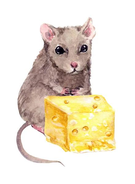 Adorable mouse and piece of cheese. Watercolor hand painted drawing — Stock Photo, Image