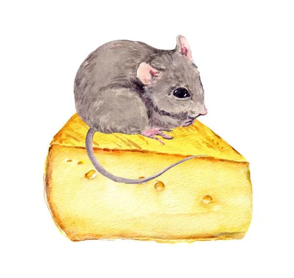 Adorable mouse with piece of cheese. Watercolor hand painted drawing — Stock Photo, Image