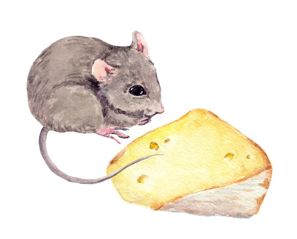 Adorable mouse and piece of cheese. Watercolor hand painted drawing — Stock Photo, Image