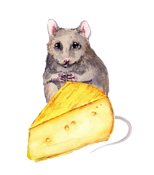 Adorable mouse and piece of cheese. Watercolor hand painted drawing — Stock Photo, Image