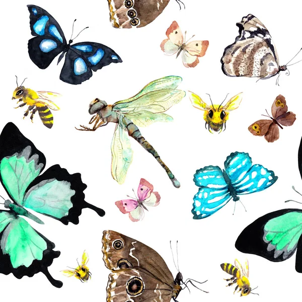 Serangga: kupu-kupu, lebah, capung. Latar belakang mulus dengan kupu-kupu eksotis. Warna Air Stok Foto Bebas Royalti
