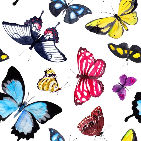 Mariposas. Fondo sin costuras con mariposa exótica. Acuarela —  Fotos de Stock
