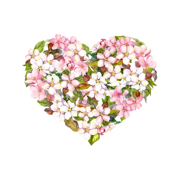 Ανθισμένη καρδιά με άνθη κερασιάς. Υδατογραφία Αγίου Βαλεντίνου — Φωτογραφία Αρχείου