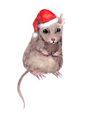 Kırmızı Noel şapkalı sevimli fare. 2020 Çin Yeni Yılı için suluboya tatil hayvanı