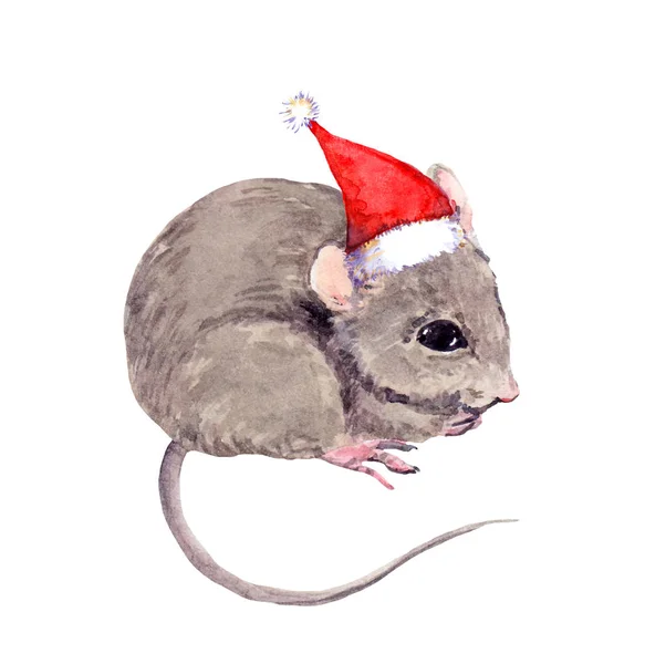 可爱的小老鼠戴着红色的桑塔帽子。 水彩画新年，圣诞动物 — 图库照片