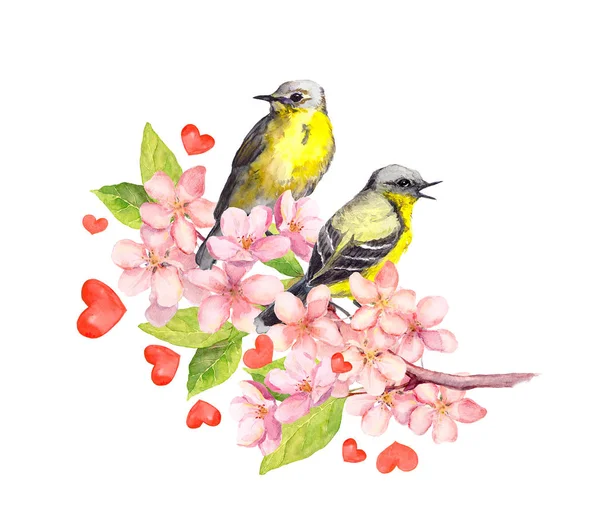 Birds couple on spring twig with flowers and hearts. Watercolor for Valentine day — Stock Photo, Image