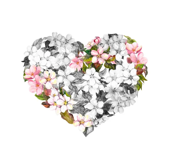 Retro černobílé srdce s růžovými květy - jarní třešňový květ, sakura. Květinová akvarel — Stock fotografie