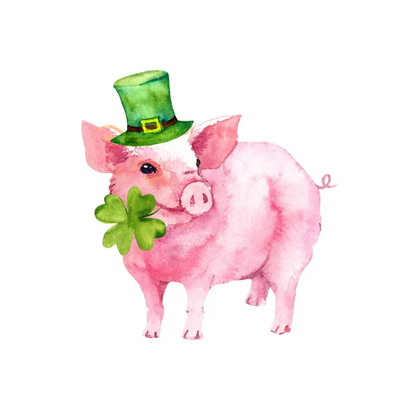 Карточка дня Святого Патрика со свиньей в зеленой шляпе, клевер из 4 листьев. Акварель — стоковое фото