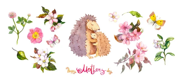 Aquarel set voor Moeders dag: Mama egel dier knuffelen haar kind, bloemen kersenbloesem, bladeren, vlinders, nota Happy Moeders dag. Inzameling voor kaart, inviatatie — Stockfoto