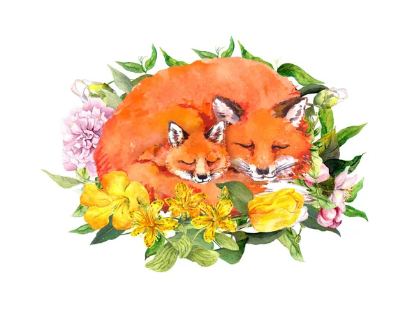 Anyák napi kártya. Alvó rókák - anya és gyermek. Akvarell anya ölelkező állatok virágok. — Stock Fotó