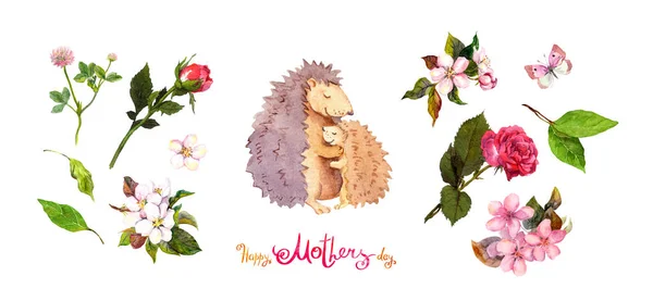 Bloemen voor Moederdag: kersenbloesem, rozenbloemen, bladeren, moeder egel dier omhelzing van haar kind, vlinders, tekst Happy Mothers dag. Waterverf — Stockfoto