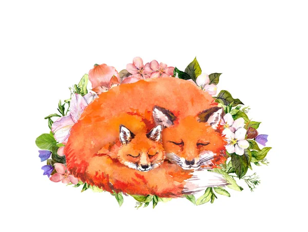 Los zorros - la mascota y la mamá juntos en las flores. Ilustración de acuarela para el día de las madres —  Fotos de Stock