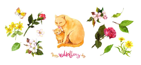 Σετ με λουλούδια και αγκαλιές ζώων για την Ημέρα της Μητέρας: Μαμά γάτα και μωρό γατάκι, λουλούδια ροζ άνθη κερασιάς, τριαντάφυλλο, κείμενο Happy Mothers day. Υδατογραφία — Φωτογραφία Αρχείου