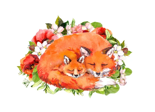 Watercolor animals foxes sleeping in flowers. Mother and child. Illustration for Mothers day — Stock Photo, Image